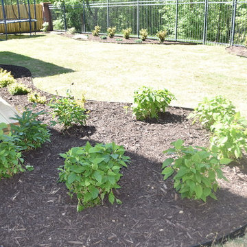 Bentonville Resident-Backyard