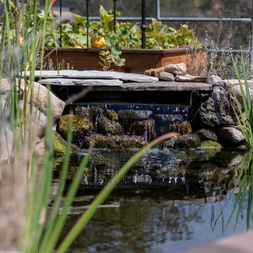 Trabuco Canyon Farmhouse