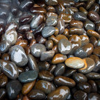 Backyard Oasis, Arlington VA