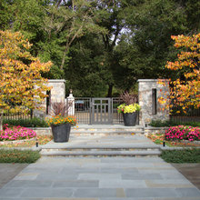Backyard Landscape