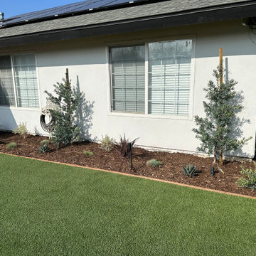 Before & After Front Yard Revamp