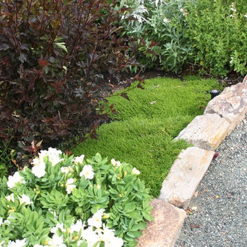 Dramatic Hillside Garden