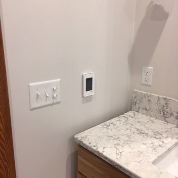 Bold Master Bath Remodel