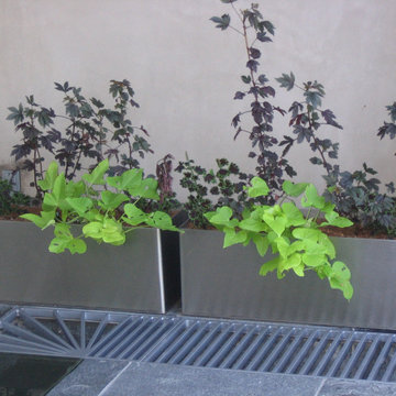 Stainless steel planters