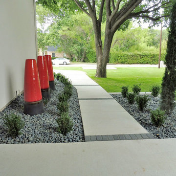 Dallas Modern Back Yard and Front Yard Renovation