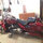 nadia_fortin8505348
