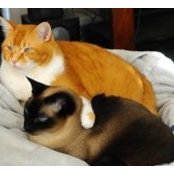 Nancy Gatling's photo