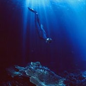 Cliff Campbell's photo