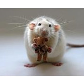 Joy Smith's photo