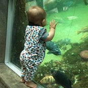Evelyn Uthman's photo