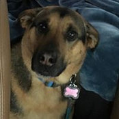 Betsy Adler's photo