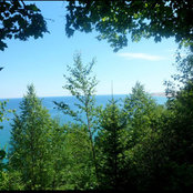Susie Schechter's photo