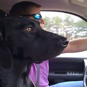 Rudy Upton's photo