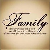 Nikki Gibson's photo