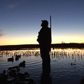 Sam Linder's photo