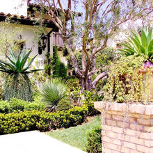 Exterior & Landscaping