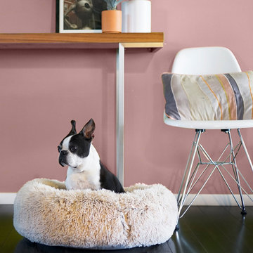 Calming Dog Beds