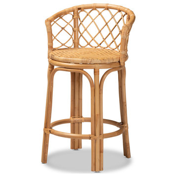 Steele Modern Bohemian Rattan Collection, Natural Brown, Counter Stool