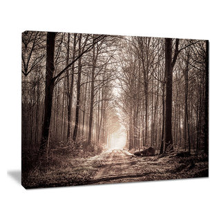 Designart 'Forest Trail in Sepia ' Landscape Photography Canvas