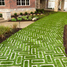 Drive Way