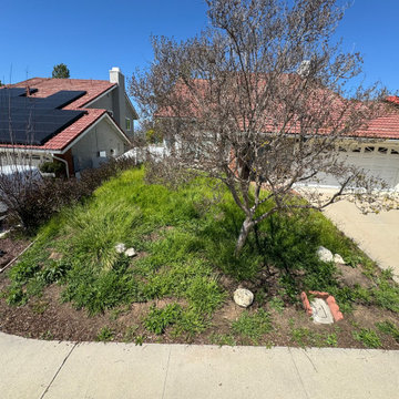 New landscaping , drought tolerant plants ,drip  and decorative pots