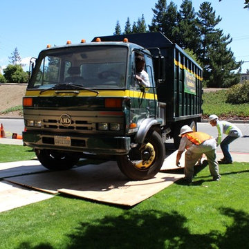 Tree Care San Jose - Bay Area Tree Specialists (408) 836-9147