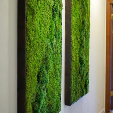 Green plant wall, moss wall art