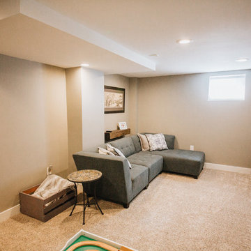 Twinridge Transitional Basement Reno
