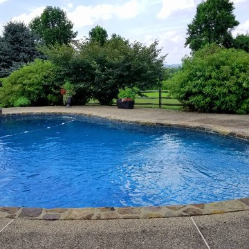 Pool Cleaning Weekly Service, Landenberg, PA