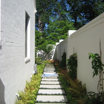 Crisp Contemporary