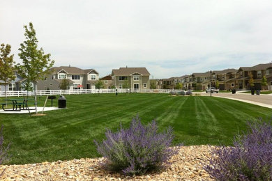 Sod Installs