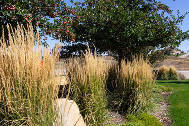 This is an example of a mid-century modern landscaping in Denver.