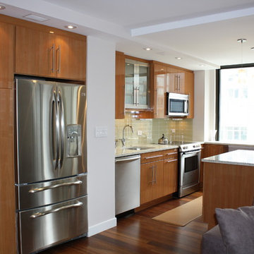 Manhattan NY Modern Kitchen DR LR Combo - High Gloss Veneer - Island - Hi-Rise