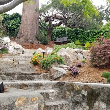 Berkeley Hillside