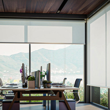 Office Blinds