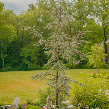 Formal Estate House, Columbia Mo