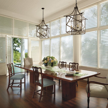 Silhouette Window Shadings