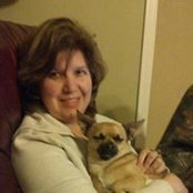 Melanie Coe's photo