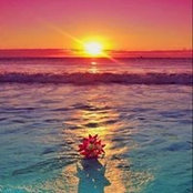 Foto di Sol Garrido Olmo