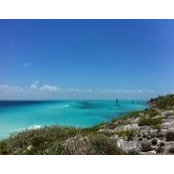 Vera Ivezic's photo