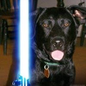 Chris Anderson's photo