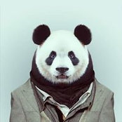James Moening's photo
