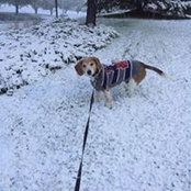 Jean Brooks's photo