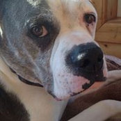 Carolann Spear's photo