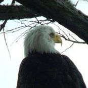 Eric Gerhardt's photo