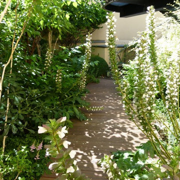 Up on the Roof / Patios et toit-terrasse
