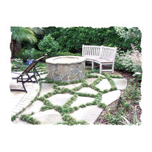 Landscape Ideas