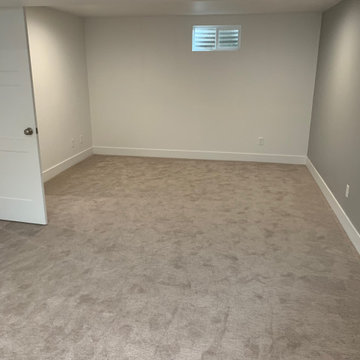 Standley Park Westminster | Basement Renovation