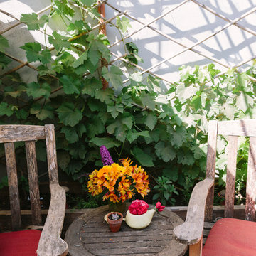 Urban Homesteading Oakland 2