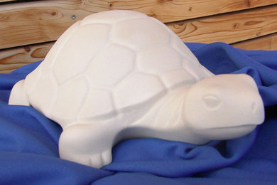 Turtle - Schildkröte